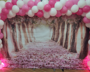 /uploads/galeriaoutubrorosa06.png